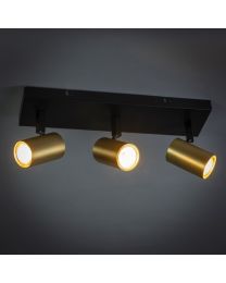 Spot Beam Black Brass 3 Lights