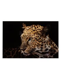 Wall Deco Leopard Tempered Glass Mix